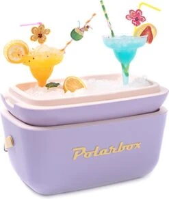 Merkloos Polarbox - Koelbox - Met Schouderband - Paars - 12 Liter - 40x26x(H)23cm -Merkloos Winkel 1019x1200 1