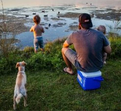 Coleman 16QT Performance Tricolor Koelbox - 15L - Blauw/Grijs 9 Coleman 16QT Performance Tricolor Koelbox - 15L - Blauw/Grijs -Merkloos Winkel 1200x1094 1