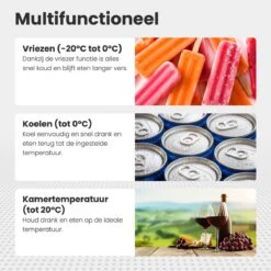 Auronic Elektrische Koelbox - 40.5L - Compressor - 12V En 240V - Grijs -Merkloos Winkel 1200x1200 931