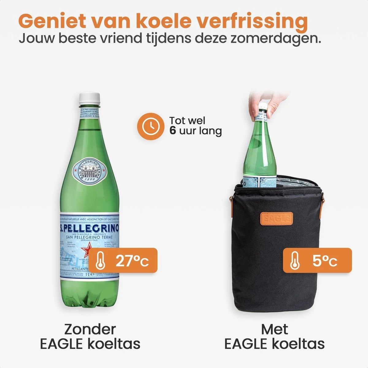 Eagle Koeltas - Compacte Koeltas - Stoffen Tas - Strandtas - Mini Koelbox 5 Eagle Koeltas - Compacte Koeltas - Stoffen Tas - Strandtas - Mini Koelbox - Afbeelding 3