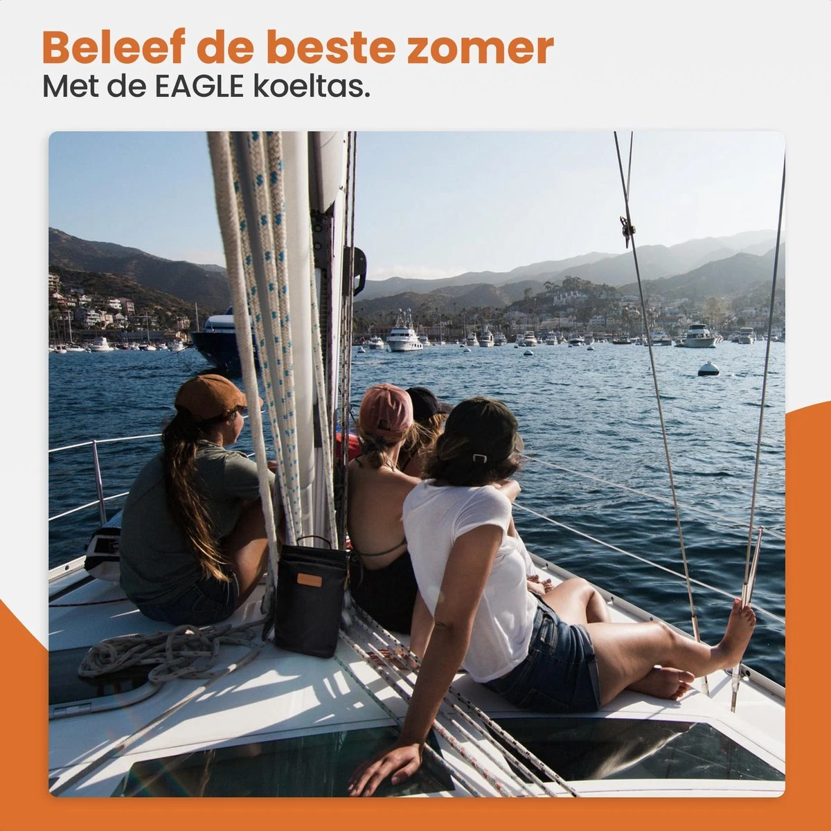 Eagle Koeltas - Compacte Koeltas - Stoffen Tas - Strandtas - Mini Koelbox 9 Eagle Koeltas - Compacte Koeltas - Stoffen Tas - Strandtas - Mini Koelbox - Afbeelding 7